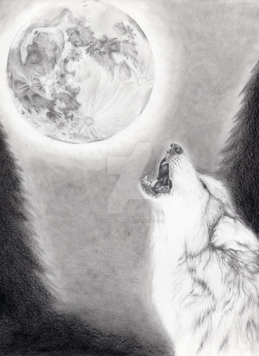 Wolf Howling At The Moon Drawing at Explore