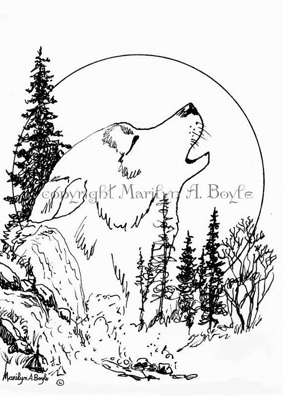 570x798 Wolf Sketch Drawings Hauling - Wolf Howling At The Moon Drawing