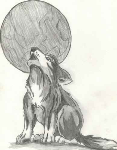 388x500 Wolf Howling - Wolf Howling At The Moon Drawing