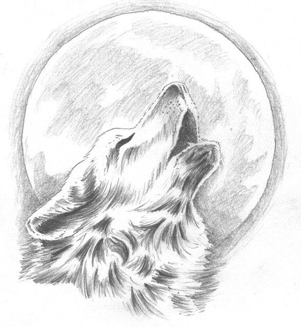587x639 Howling Wolf Tattoo Change The Moon To Our Dream Catcher Behind - Wolf Howling At The Moon Drawing