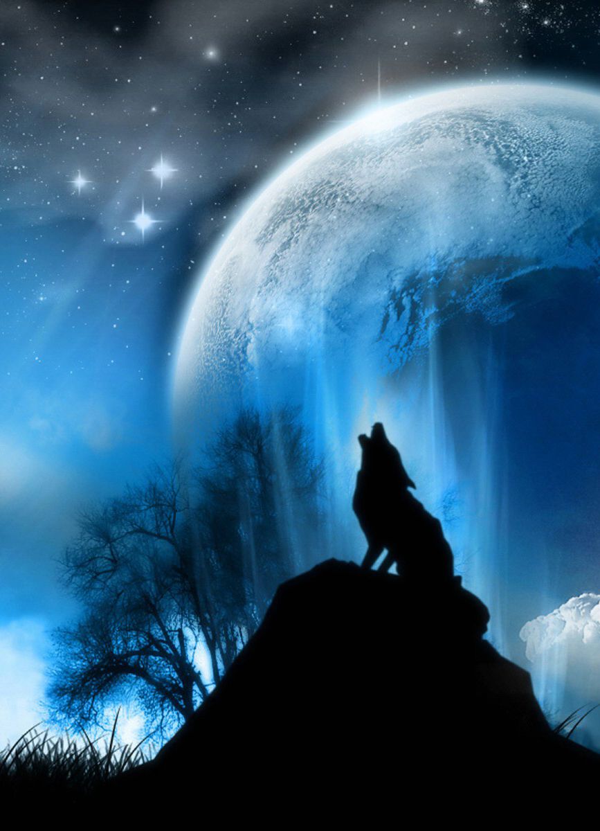 867x1200 Wolf Howling - Wolf Howling At The Moon Drawing