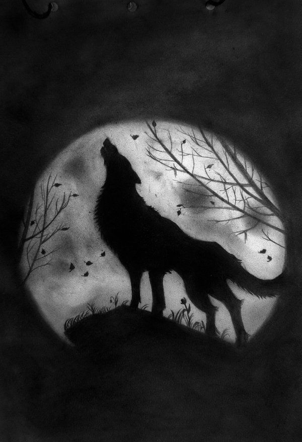 600x880 Wolf Howling - Wolf Howling At The Moon Drawing