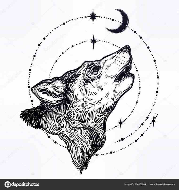 761x809 and white face full rhdrawingwikicom wolf wolf howling - Wolf Howling At The Moon Drawing In Pencil