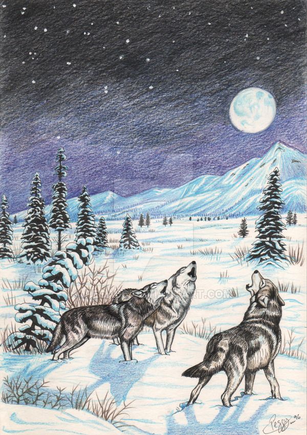 Wolf Howling At The Moon Drawing In Pencil at PaintingValley.com