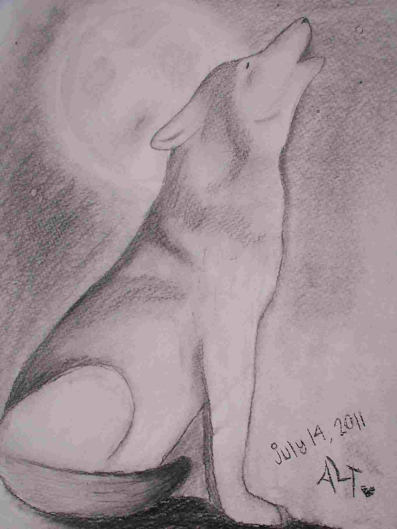 1365x1820 Drawings Of Wolves Howling - Wolf Howling At The Moon Drawing In Pencil