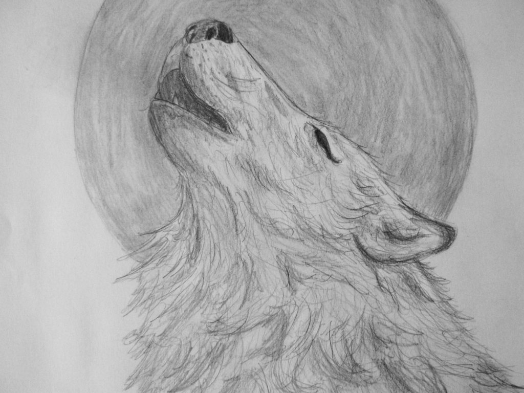 1024x768 How To Draw The Moon - Wolf Howling At The Moon Drawing In Pencil