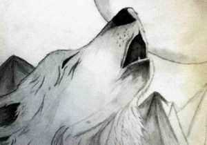 300x210 drawings of wolves howling at the moon in pencil how to draw - Wolf Howling At The Moon Drawing In Pencil