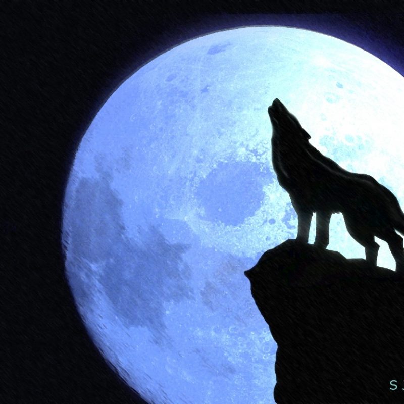 Wolf Howling At The Moon Drawing Step By Step at PaintingValley.com ...