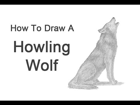 480x360 How To Draw A Wolf Howling - Wolf Howling At The Moon Drawing Step By Step