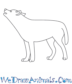 300x350 How To Draw A Wolf Howling - Wolf Howling At The Moon Drawing Step By Step