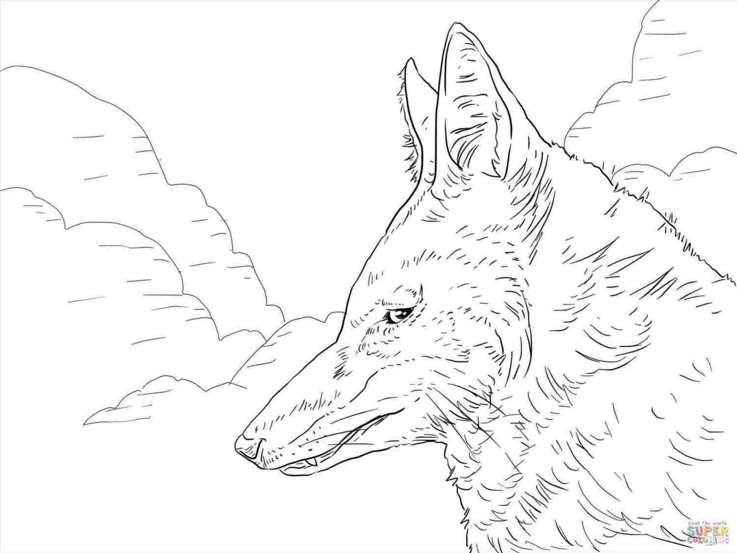 1501x1126 Howling Wolf Drawing Easy - Wolf Howling At The Moon Drawing Step By Step