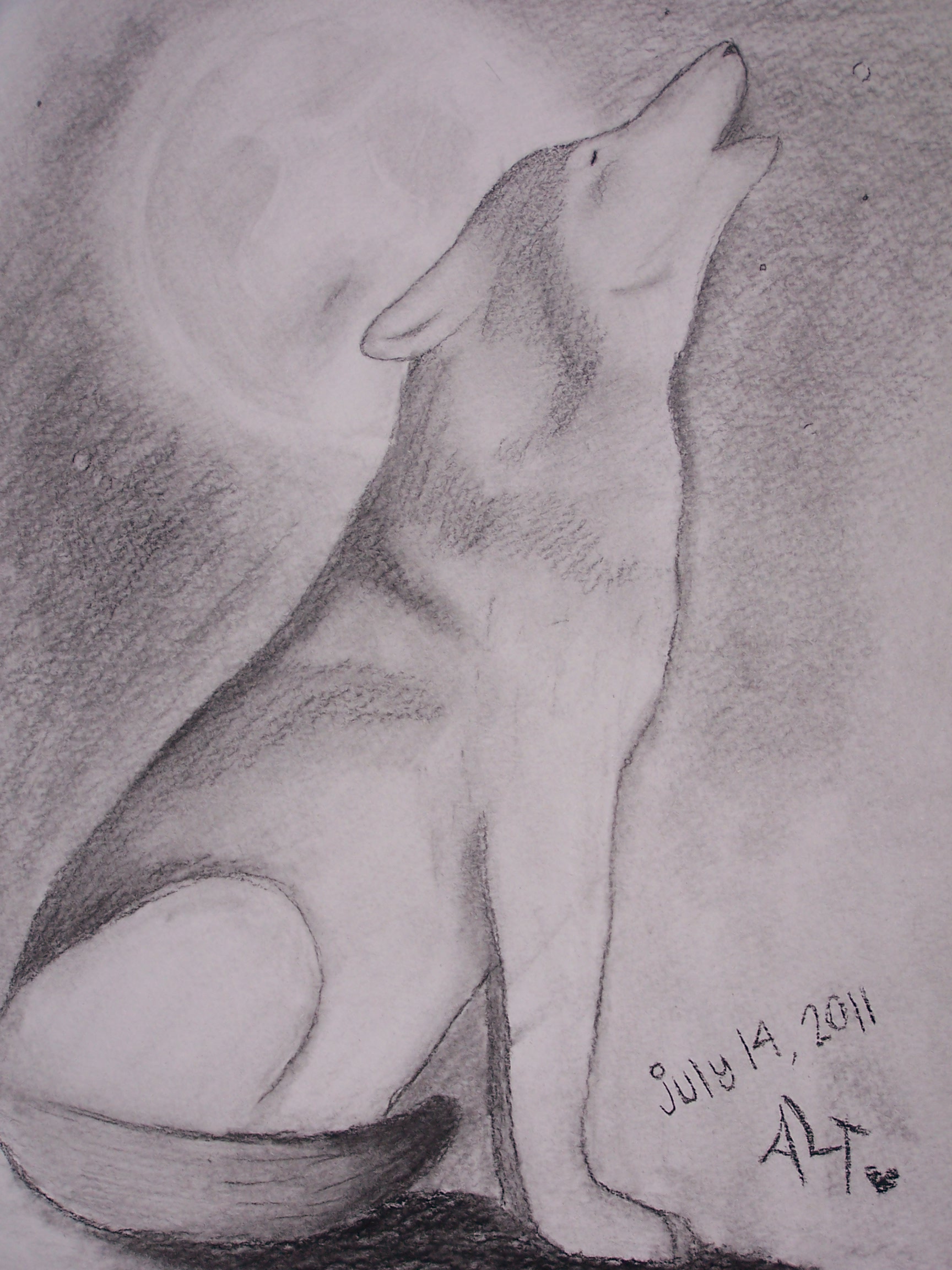 1728x2304 wolf howling at the moon wallpaper wallpapers howling wolf wolves - Wolf Howling At The Moon Drawing Step By Step