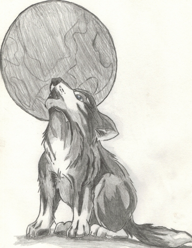 621x800 Wolf Howling - Wolf Howling At The Moon Drawing Step By Step