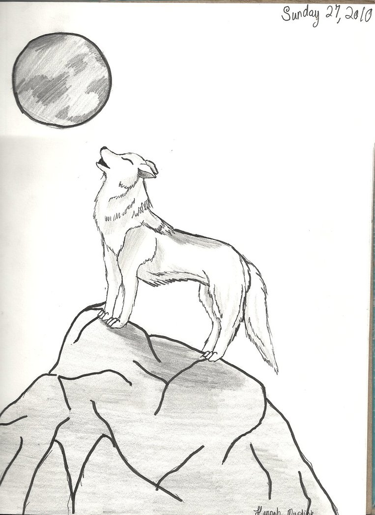 Wolf Howling At The Moon Drawing Step By Step at