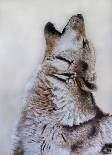 375x521 Grey Wolf Howling Drawing - Wolf Howling Drawing