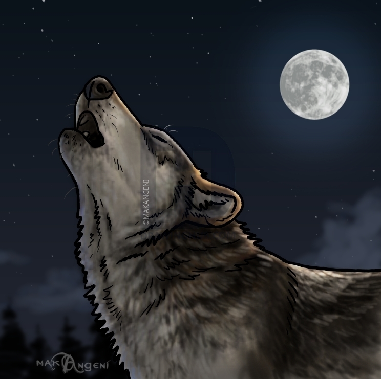 744x741 How To Draw Howling Wolves, Howling Wolf, Step - Wolf Howling Drawing