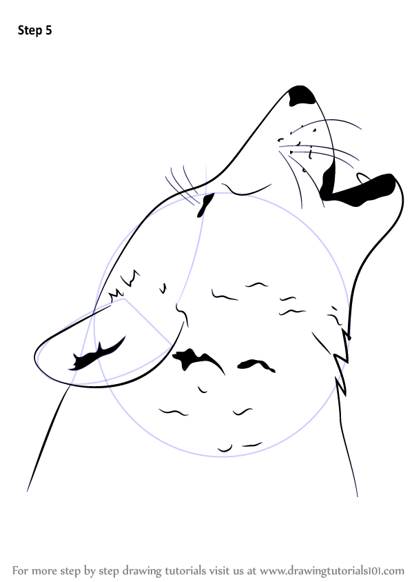 598x844 Learn How To Draw A Wolf Howling - Wolf Howling Drawing