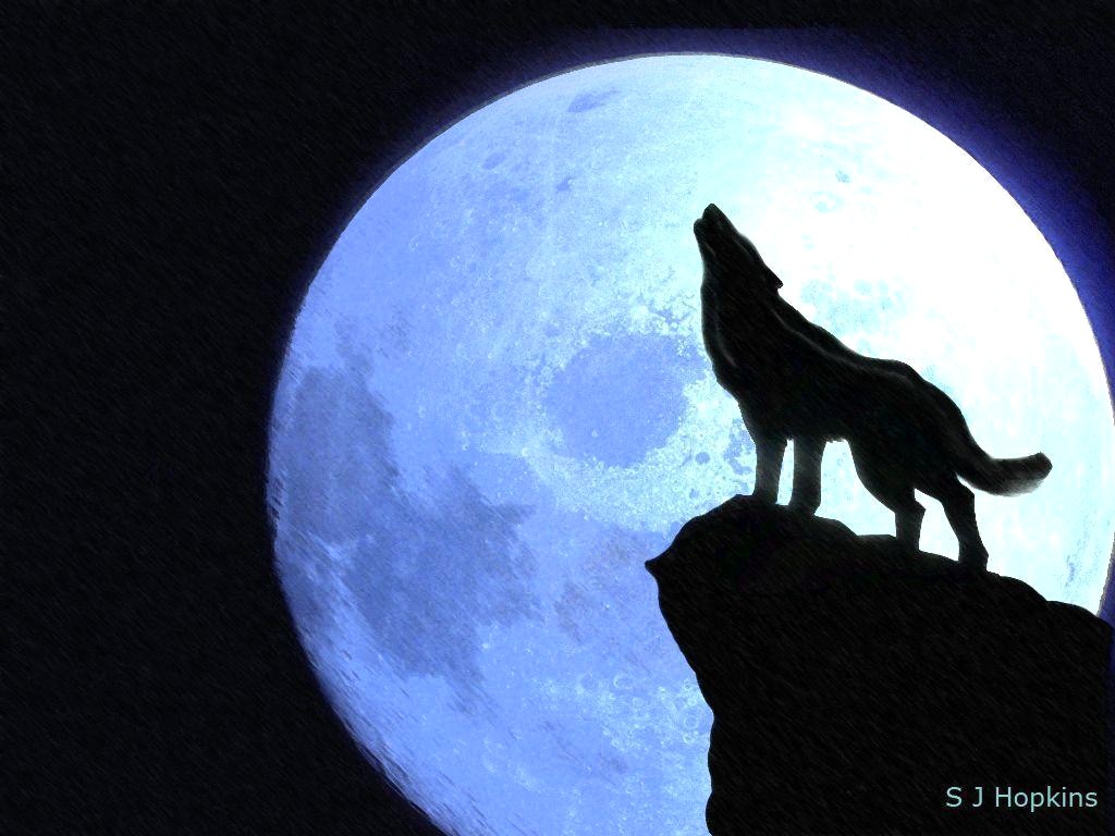 1024x768 Wolf Howling At Moon Drawing - Wolf Howling Drawing