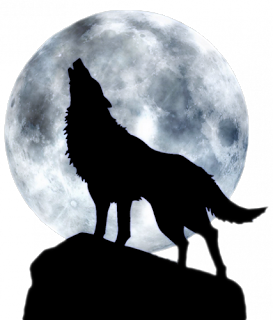 273x320 Wolf Howling - Wolf Howling Drawing