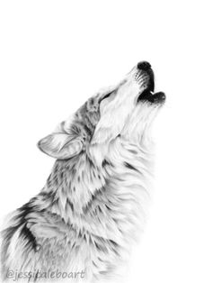 236x314 Wolf Drawing - Wolf Howling Drawing
