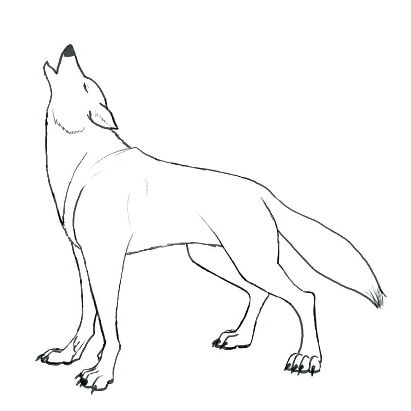 800x800 Wolf Howling Coloring Pages Minecraft Sweet Sardinia Wolf - Wolf Howling Moon Drawing