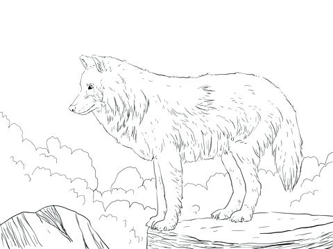 480x360 Wolf Howling Moon Coloring Pages - Wolf Howling Moon Drawing