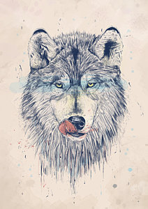 212x300 Wolf Drawings Fine Art America - Wolf Images Drawings