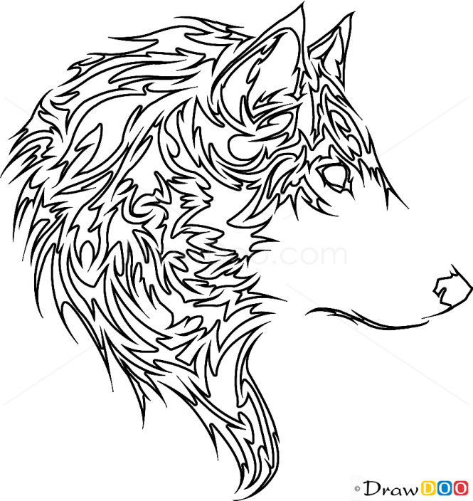 665x704 Wolf Line Drawing Images - Wolf Line Drawing