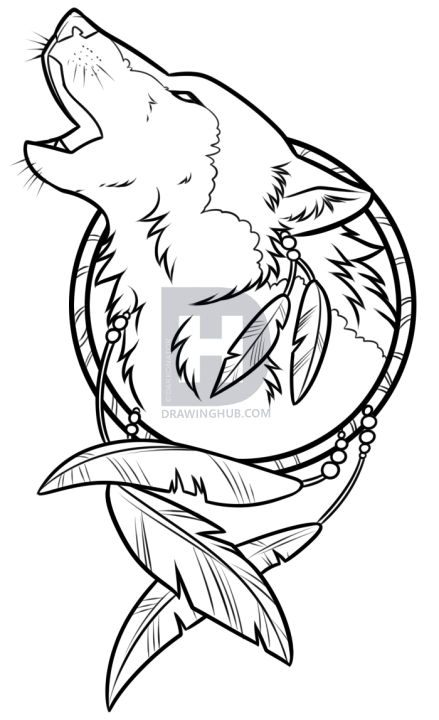 439x720 Drawing A Wolf Dreamcatcher, Step - Wolf Line Drawing