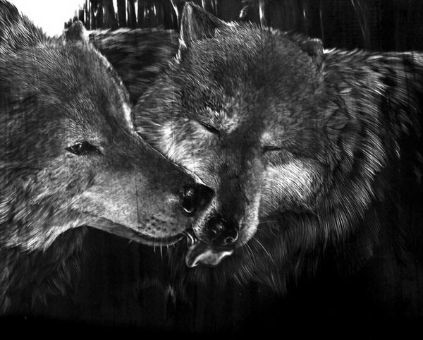 Wolf Love Drawings