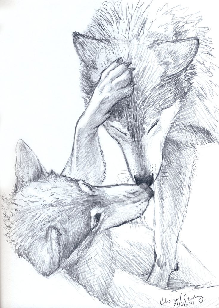 736x1036 Drawn Wolf Love - Wolf Love Drawings
