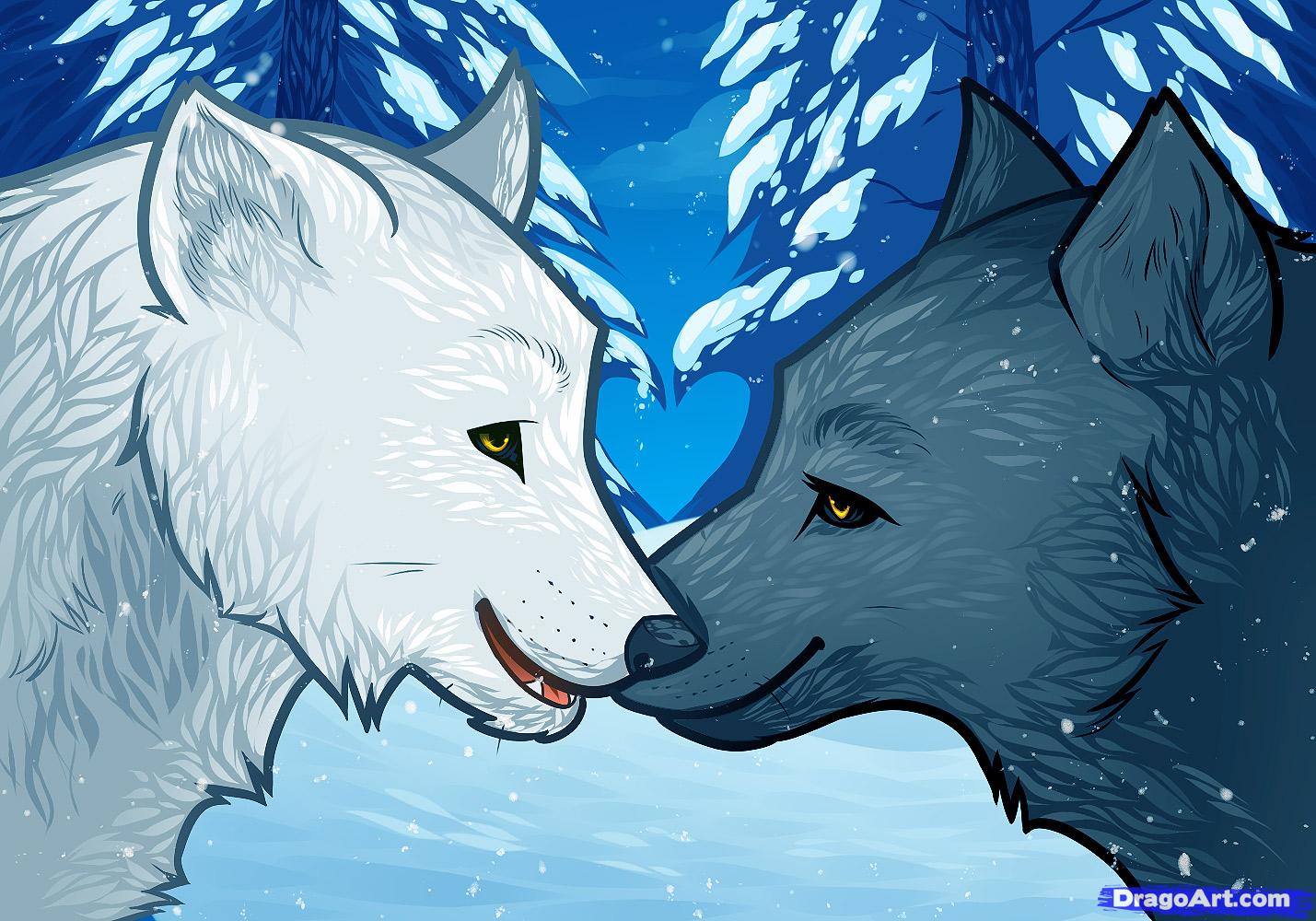 1429x1000 how to draw wolf love, wolf love, step - Wolf Love Drawings.