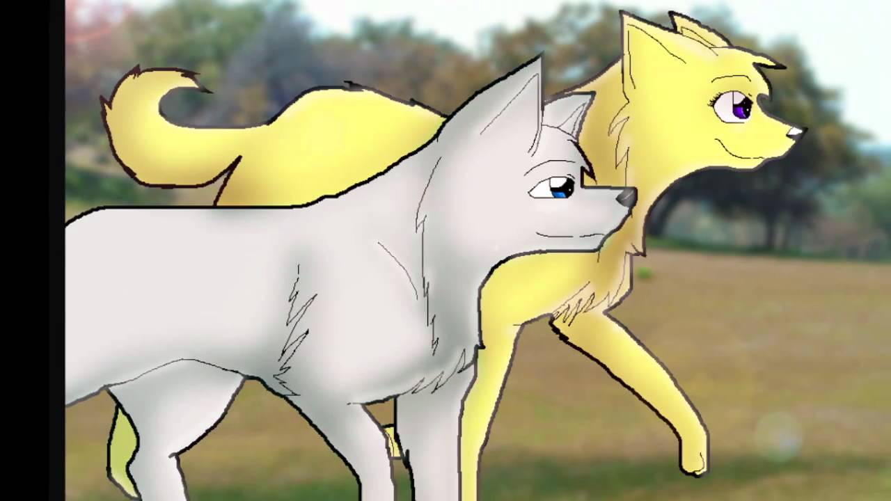 1280x720 Love Story Wolf Animation - Wolf Love Drawings
