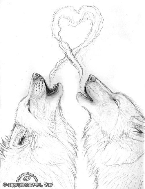 Wolf Love Drawings At Paintingvalley Com Explore Collection Of