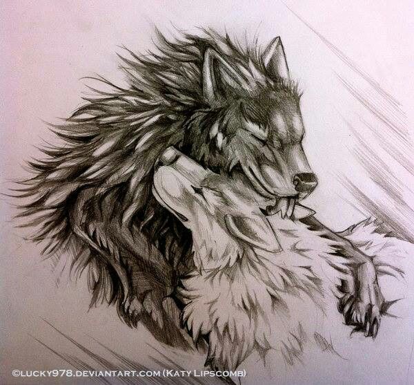 Wolf Love Drawings at PaintingValley.com | Explore collection of Wolf ...