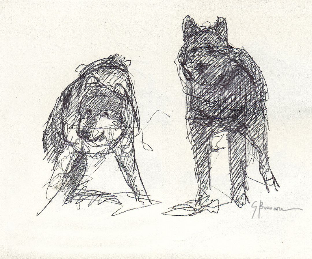 1080x897 how wolves get a date in yellowstone a yellowstone life - Wolf Mating Drawing