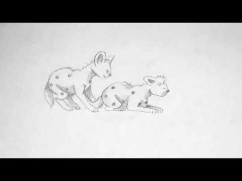 480x360 mating hyenas - Wolf Mating Drawing