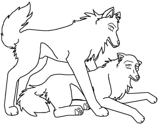 600x473 wolf, wolf mating coloring - Wolf Mating Drawing