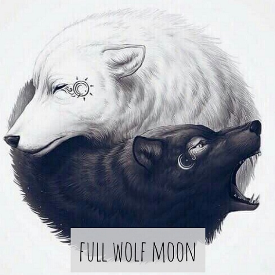 565x565 full wolf moon emily hockstra - Wolf Moon Drawing
