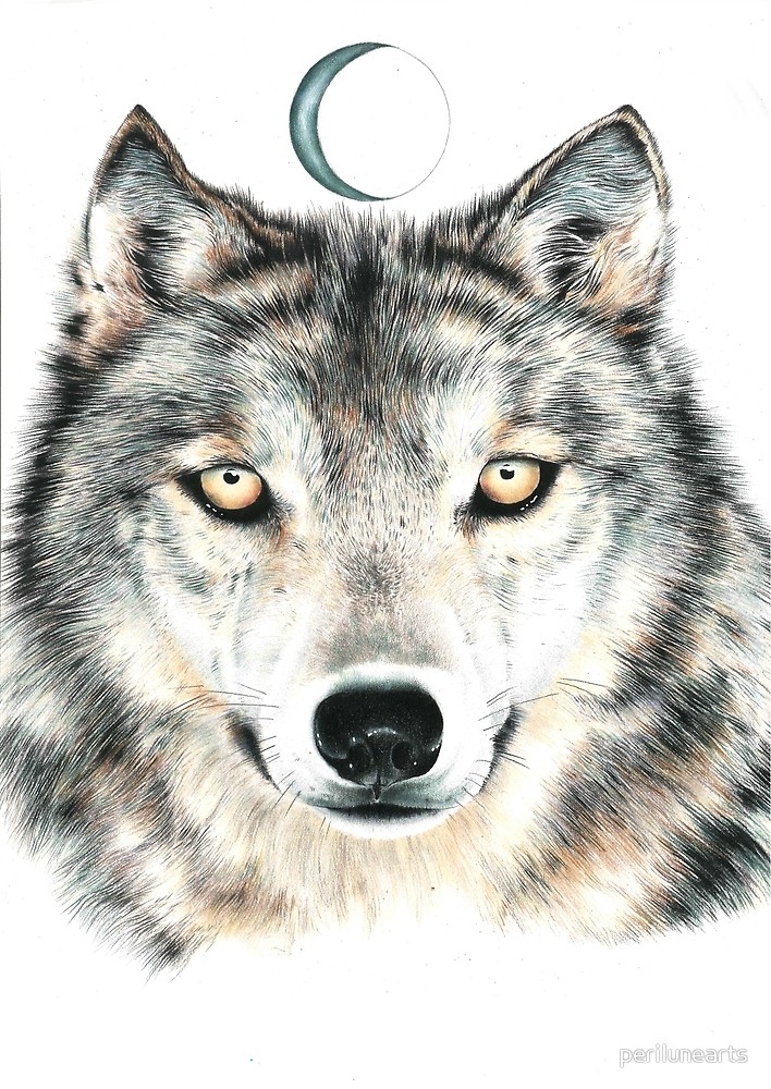 708x1000 Wolf Moon Pencil Drawing - Wolf Moon Drawing