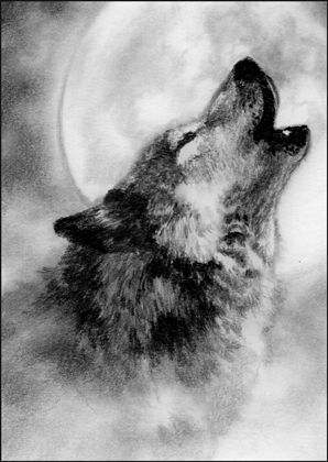 298x420 Wolf Moon Drawing - Wolf Moon Drawing