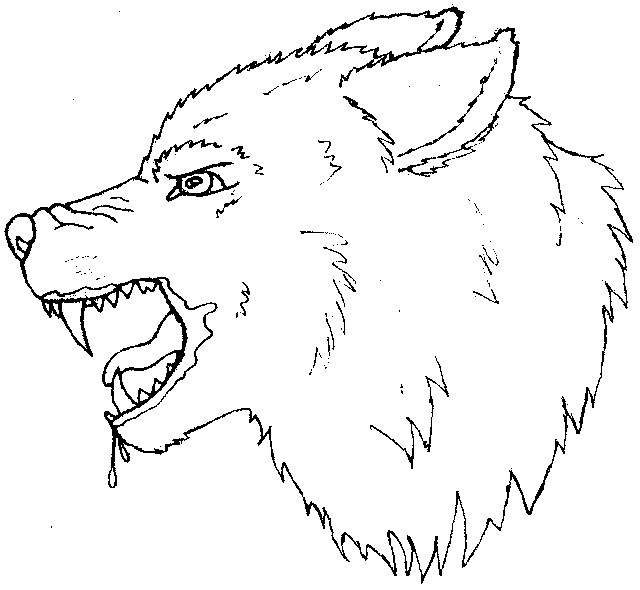 Wolf Outline Drawing