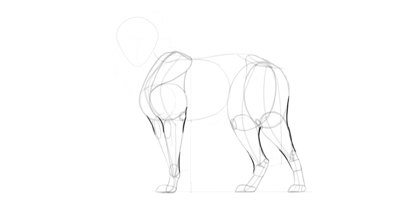 850x413 How To Draw A Wolf Step - Wolf Outline Drawing