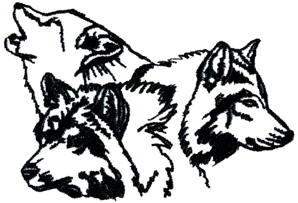 600x409 Wolf Outline Drawing - Wolf Outline Drawing