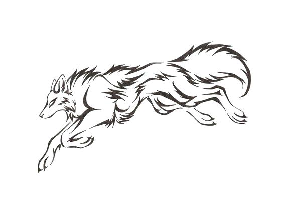 564x423 Wolf Outline Drawing - Wolf Outline Drawing