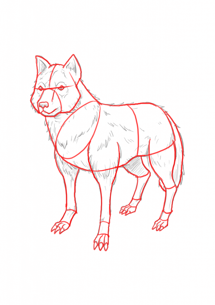 724x1024 Ways To Draw A Wolf - Wolf Outline Drawing