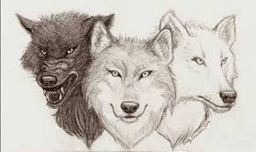 Wolf Pack Drawing at PaintingValley.com | Explore collection of Wolf