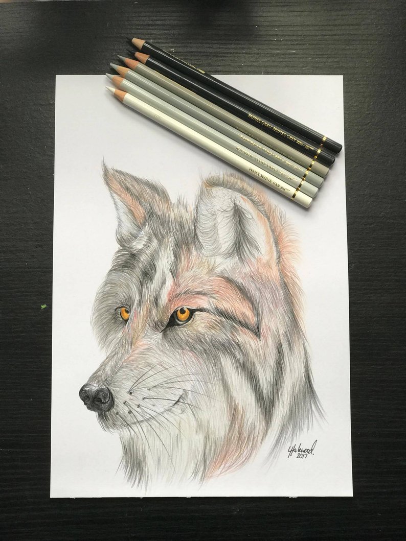 794x1059 wolf art wolf print wolf pack animal art animal drawing etsy - Wolf Pack Drawing