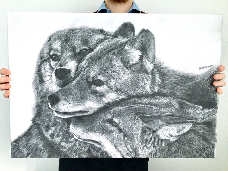 794x596 Wolf Pack Wolves Canvas Print Etsy - Wolf Pack Drawing