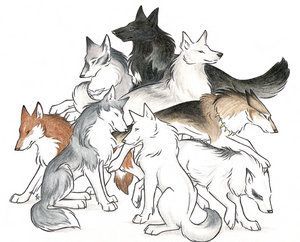300x242 anime wolf pack anime wolves anime wolves - Wolf Pack Drawing